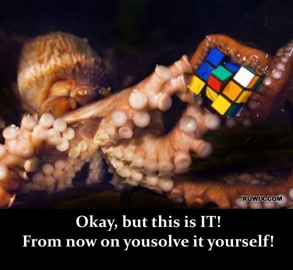 Octopus Rubiks cube memes funny images